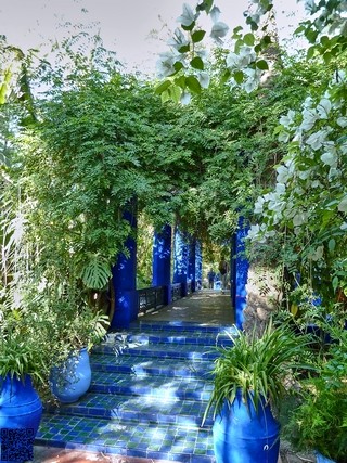 Jardin majorelle    |   35  /  47    |